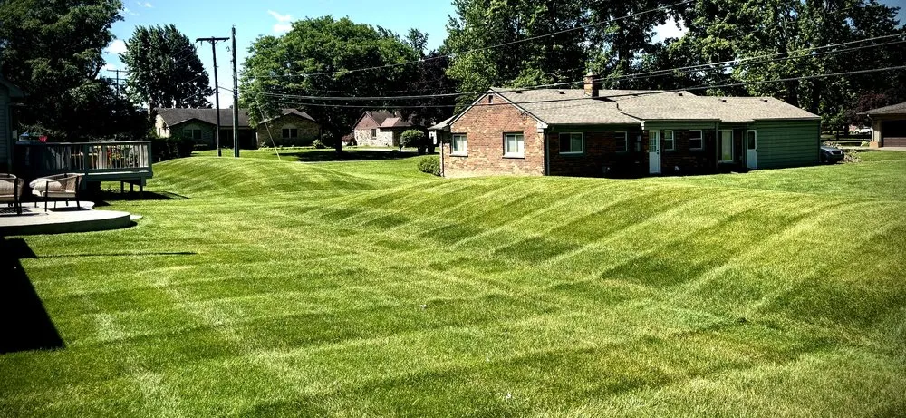 Trusted yard cleanup service experts serving St. Clair Shores, MI - Green Rhino Lawn Care
