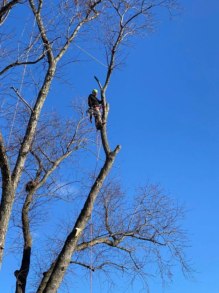 Reliable landscape installation experts serving Freehold, NJ - Green Rite Tree Service