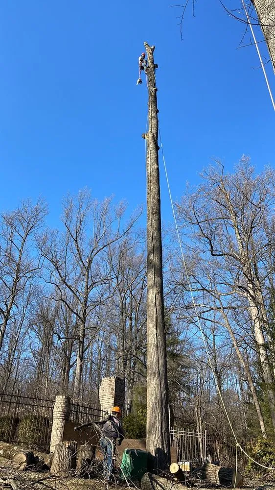 Reliable residential landscaping in Freehold, NJ - Green Rite Tree Service