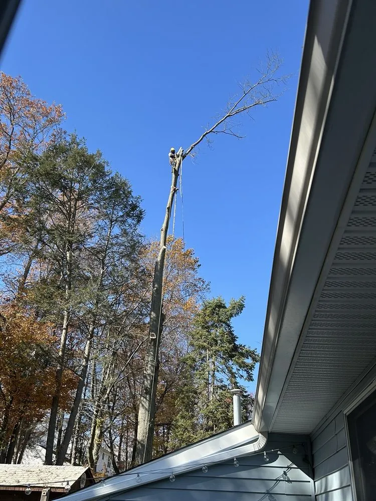 Trusted landscaping services in Freehold, NJ - Green Rite Tree Service