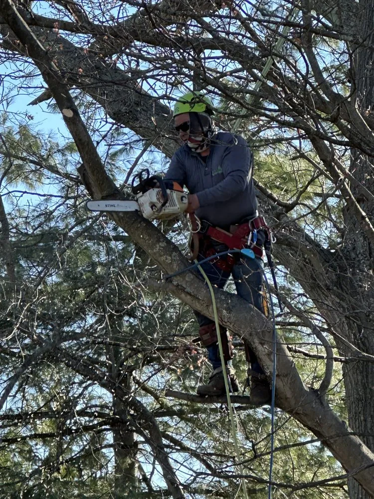 Custom lawn care service for outdoor upgrades in Freehold, NJ by Green Rite Tree Service