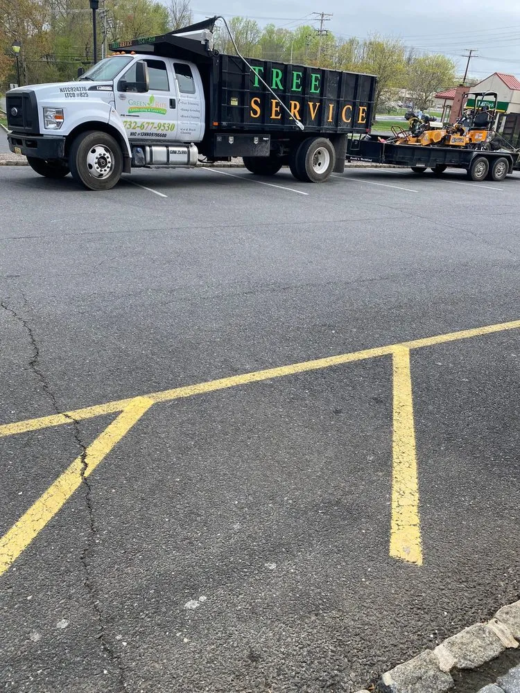 Custom yard cleanup service in Freehold, NJ by Green Rite Tree Service