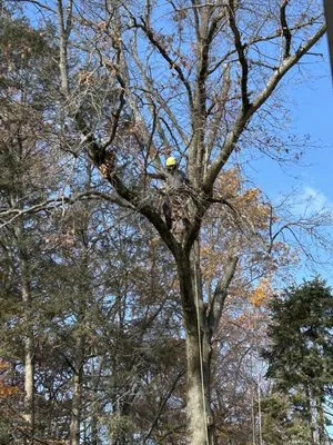 Green Rite Tree Service Logo