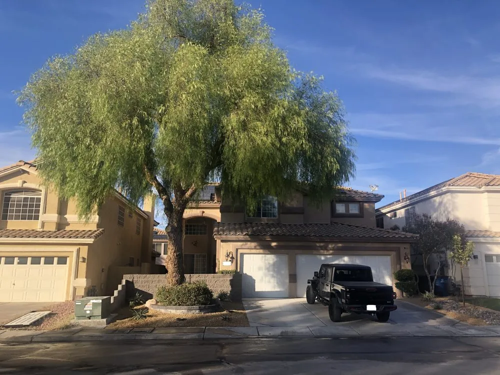 Expert landscape installation experts serving Las Vegas, NV - Green River Landscape