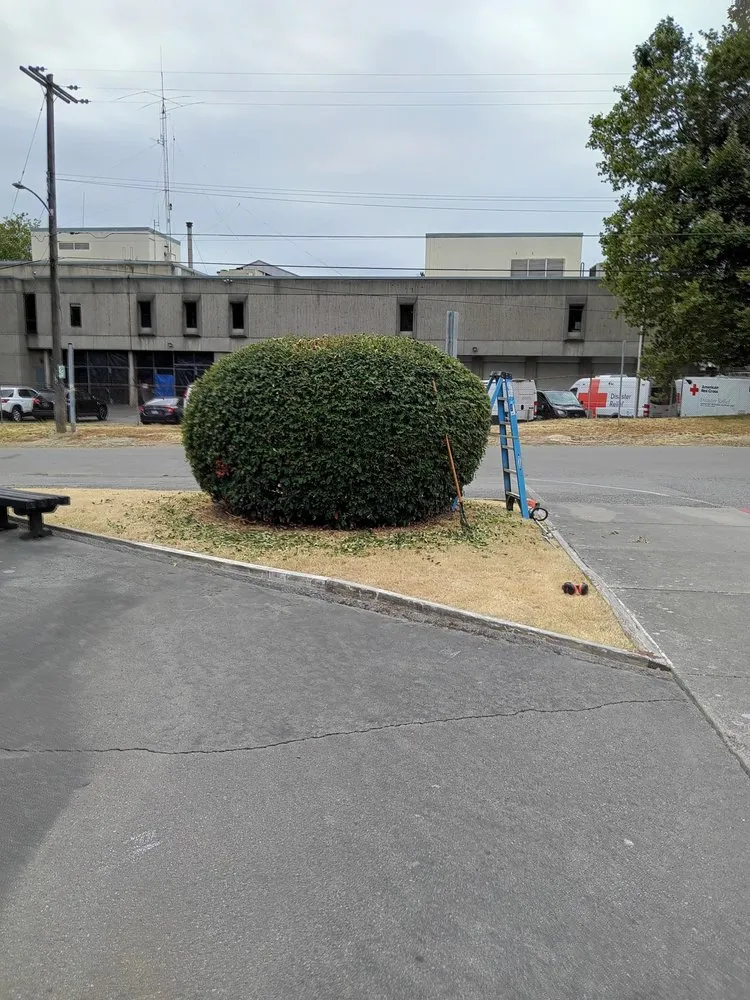 Professional yard maintenance for year-round maintenance across Seattle, WA - Green River Landscaping
