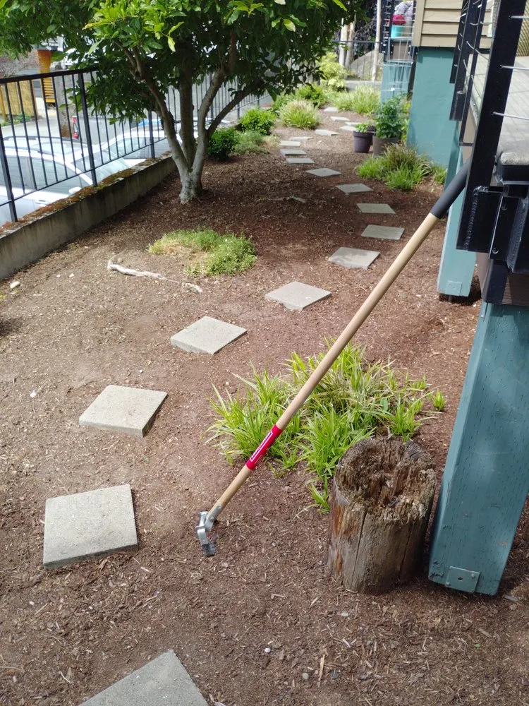 Top-rated lawn care service for residential properties across Seattle, WA - Green River Landscaping