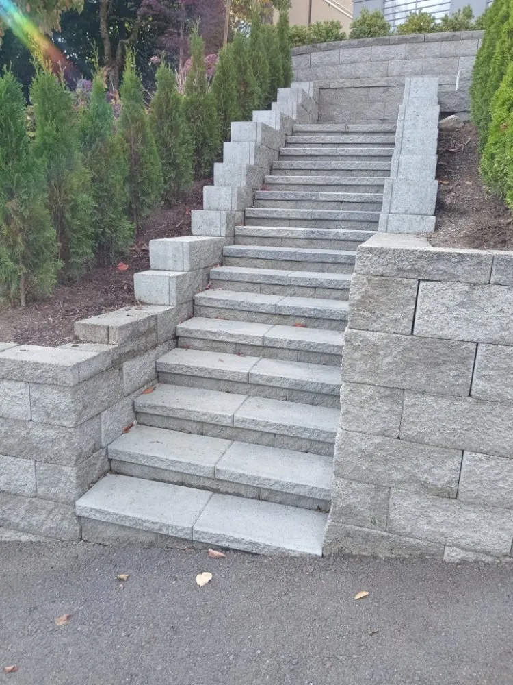 Trusted lawn care service in Seattle, WA by Green River Landscaping