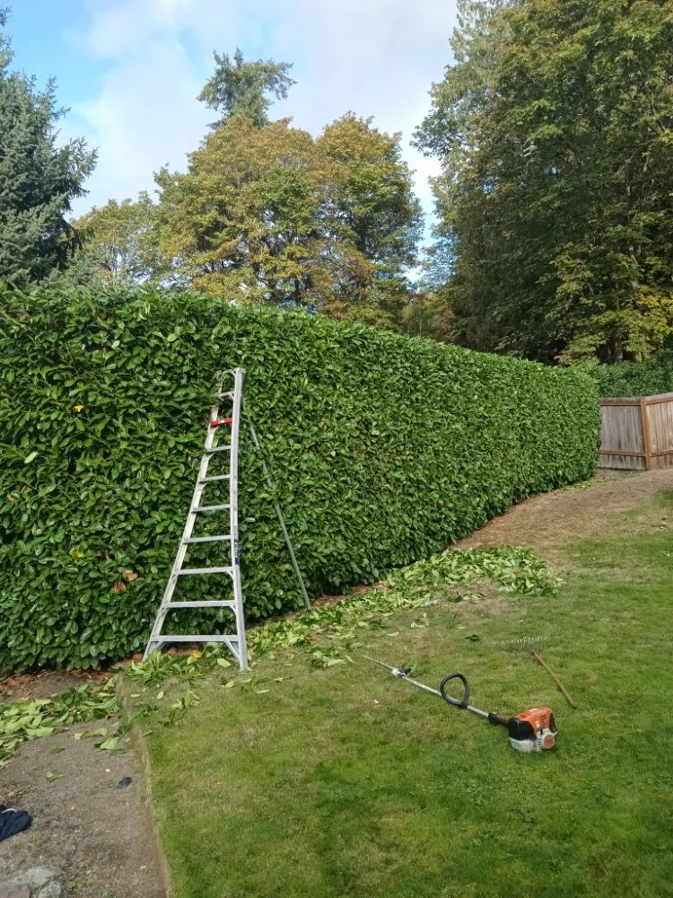 Custom residential landscaping for year-round maintenance in Seattle, WA by Green River Landscaping