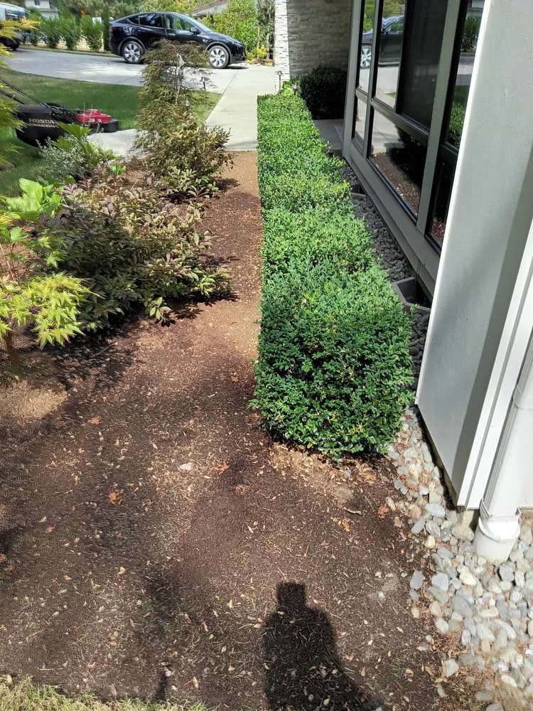 Trusted landscape installation for year-round maintenance across Seattle, WA - Green River Landscaping