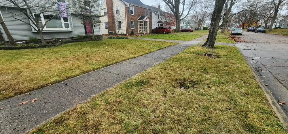 Professional landscape installation for residential properties in South Bend, IN by Green River Nature Scapes