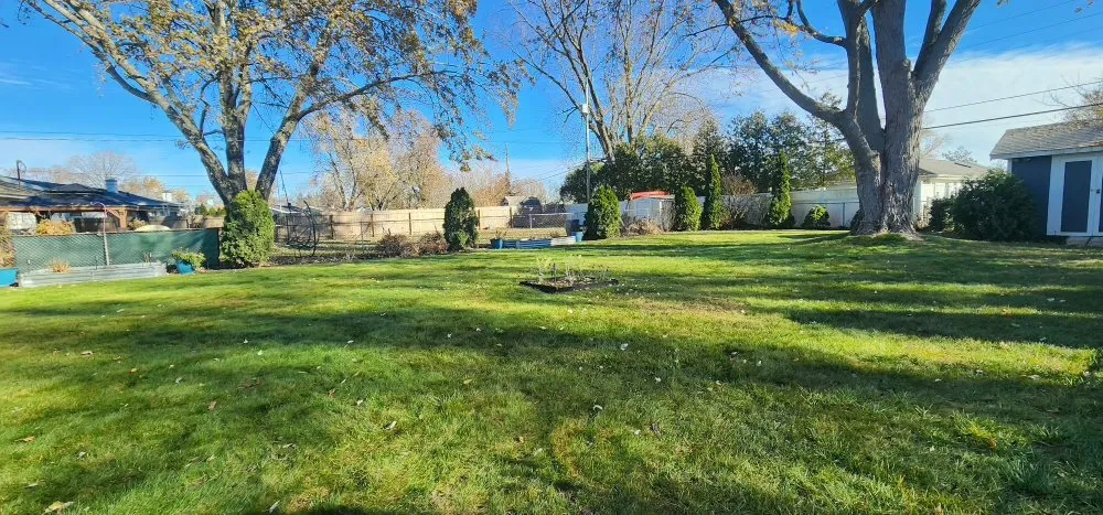 Affordable yard maintenance for outdoor upgrades across South Bend, IN - Green River Nature Scapes