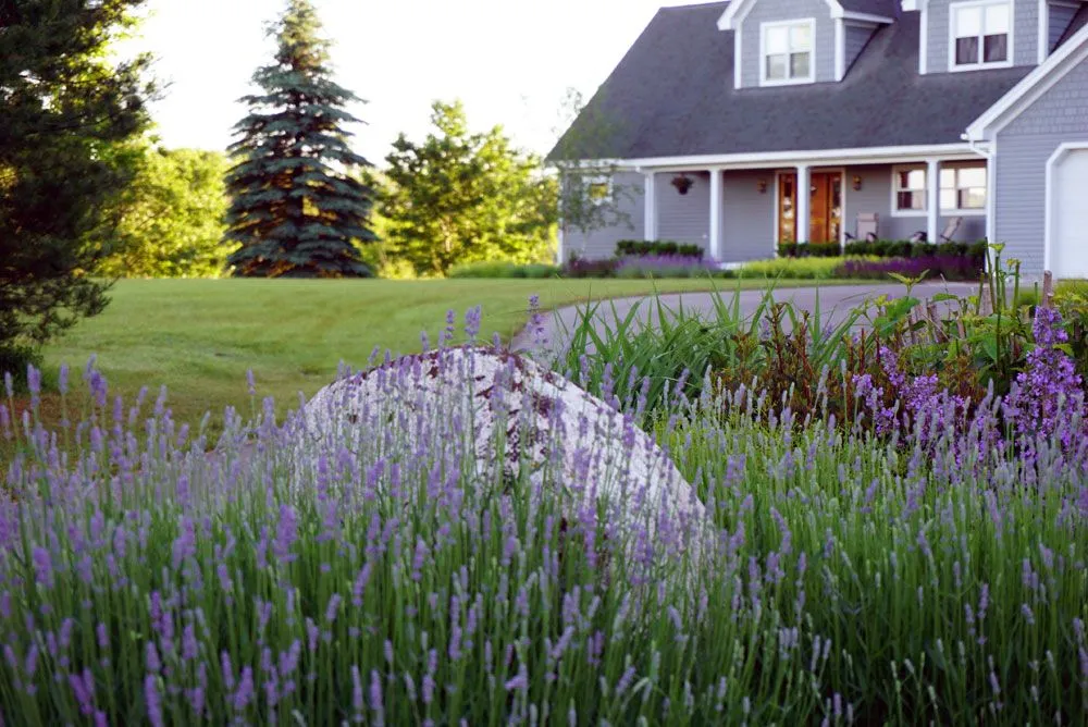Custom outdoor landscaping in Harbor Springs, MI - Green Room Landscape
