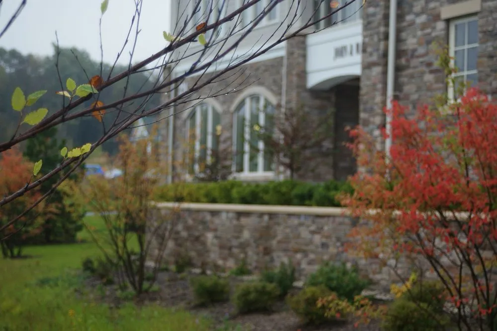 Trusted yard cleanup service in Harbor Springs, MI by Green Room Landscape