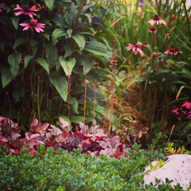 Top-rated landscape design in Harbor Springs, MI by Green Room Landscape