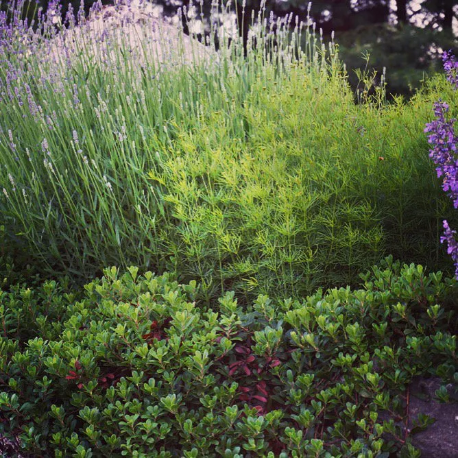 Trusted residential landscaping in Harbor Springs, MI - Green Room Landscape