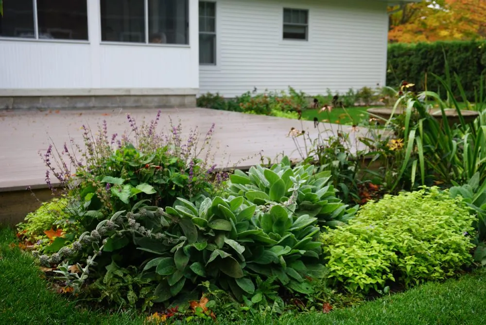 Local yard maintenance in Harbor Springs, MI - Green Room Landscape