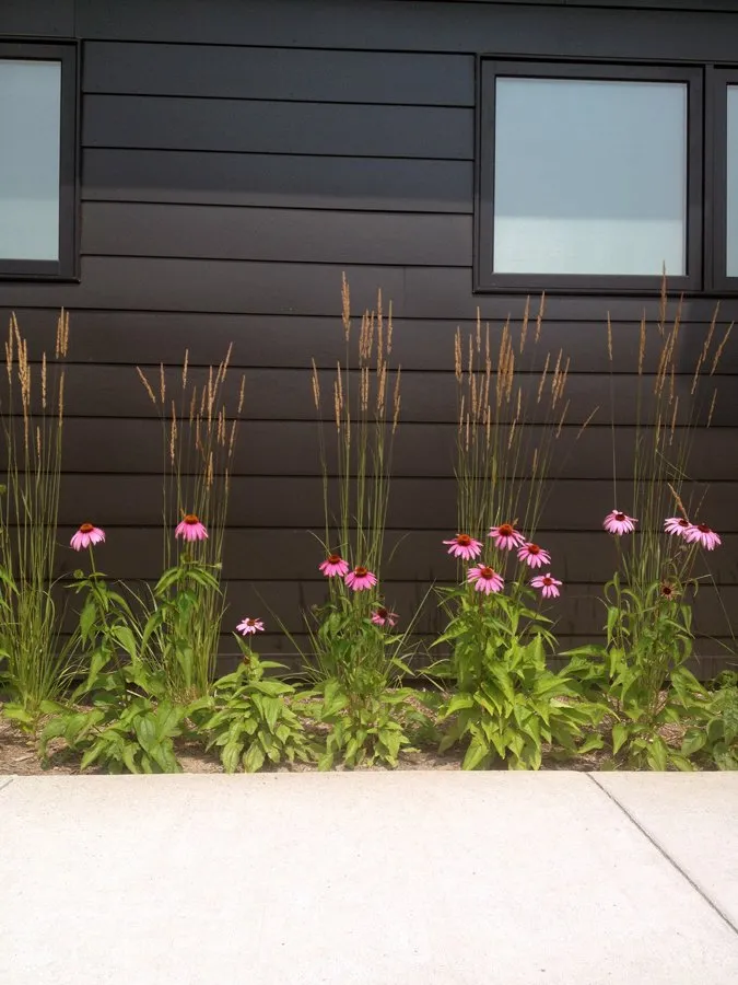 Reliable outdoor landscaping for year-round maintenance in Harbor Springs, MI by Green Room Landscape