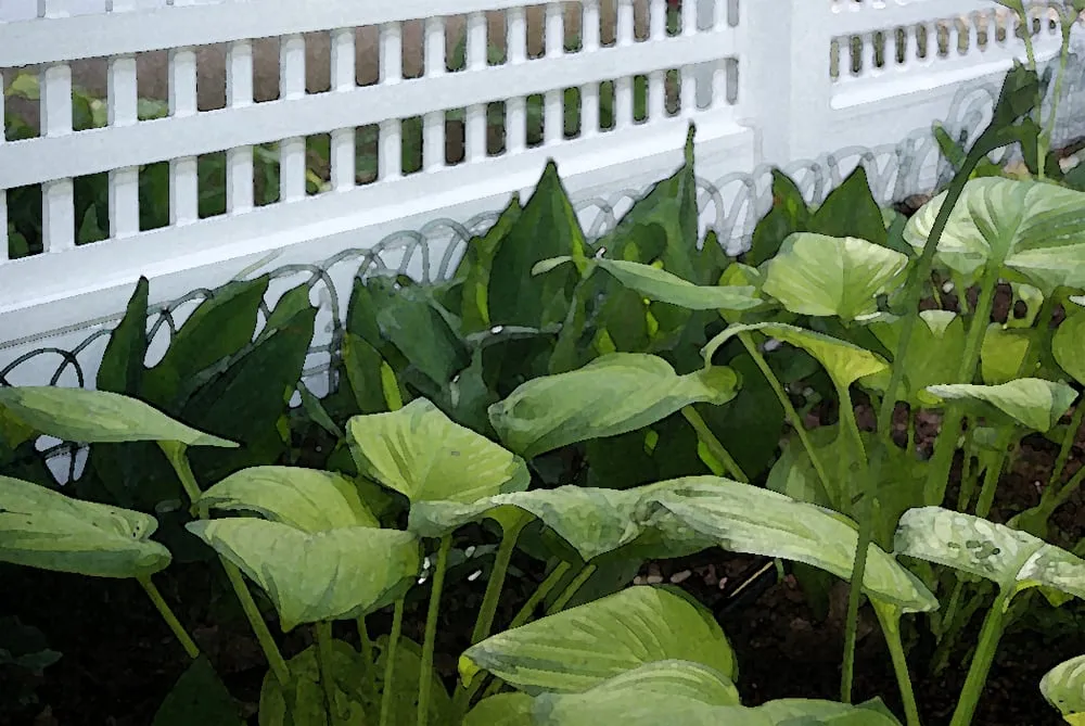 Expert garden landscaping for year-round maintenance in Harbor Springs, MI by Green Room Landscape