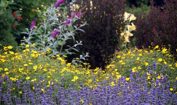 Reliable landscape installation experts serving Harbor Springs, MI - Green Room Landscape