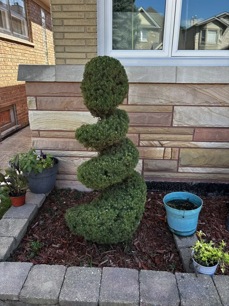 Trusted lawn care service for outdoor upgrades across Chicago, IL - Green Roots Landscaping & Lawn Care