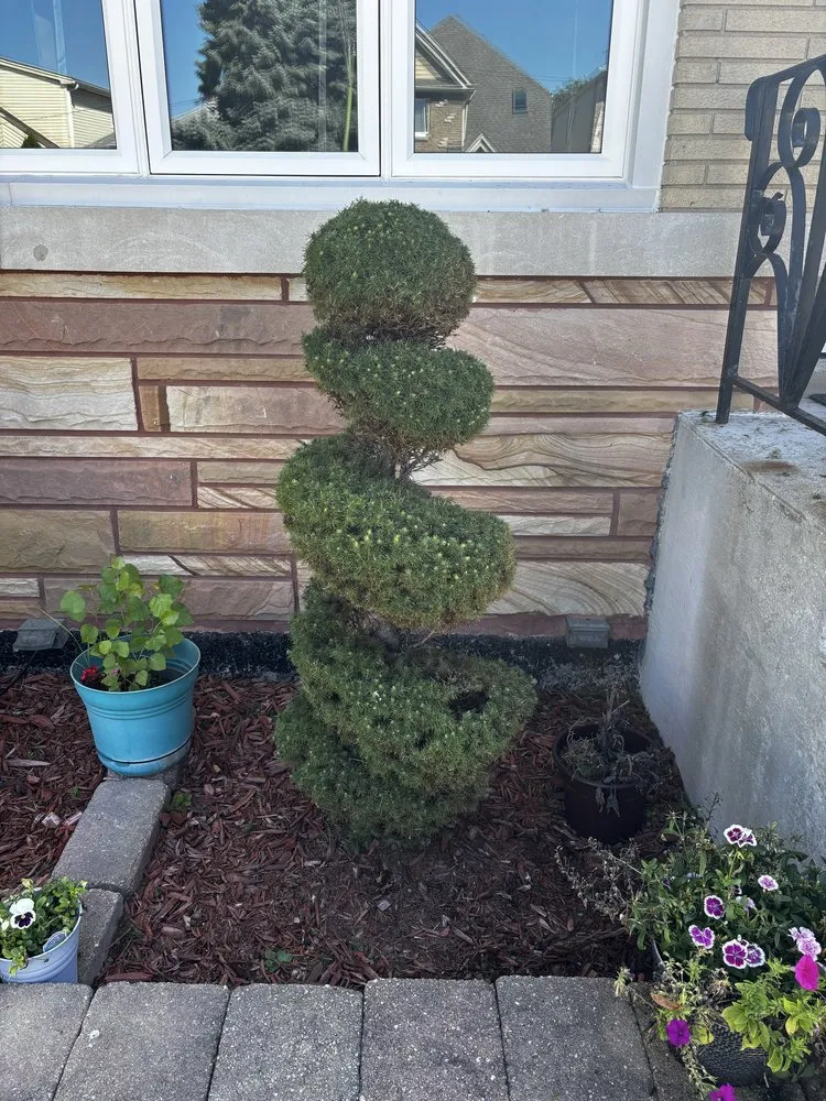 Professional yard maintenance in Chicago, IL by Green Roots Landscaping & Lawn Care