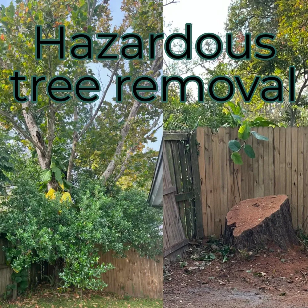 Trusted yard cleanup service for outdoor upgrades across Tampa, FL - Green Roots Landscaping