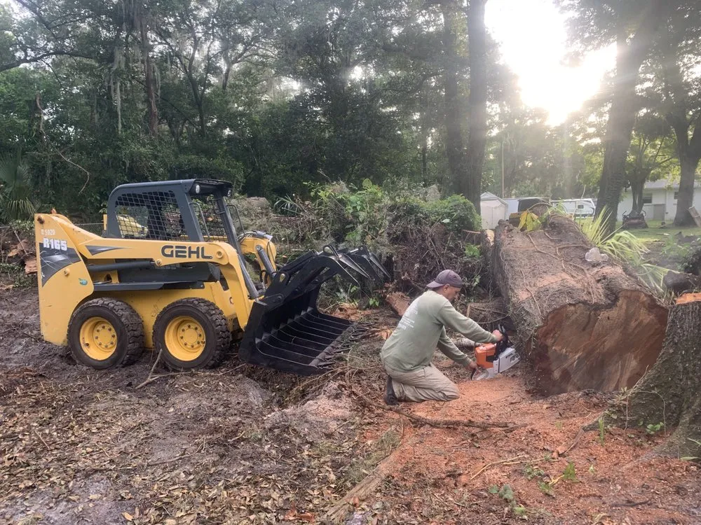 Professional residential landscaping for outdoor upgrades in Tampa, FL by Green Roots Landscaping