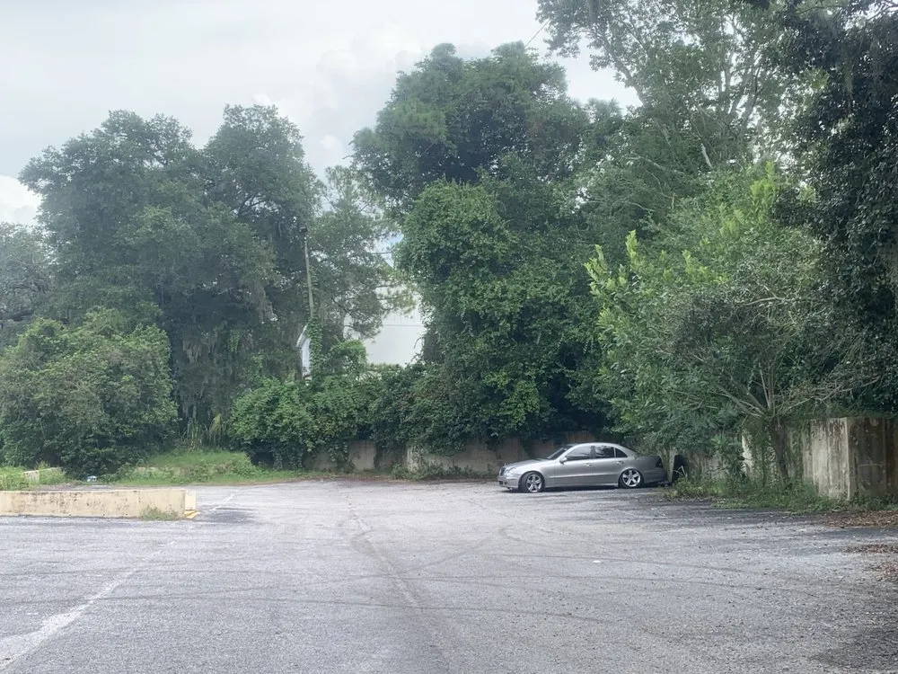 Top-rated landscaping services for outdoor upgrades across Tampa, FL - Green Roots Landscaping