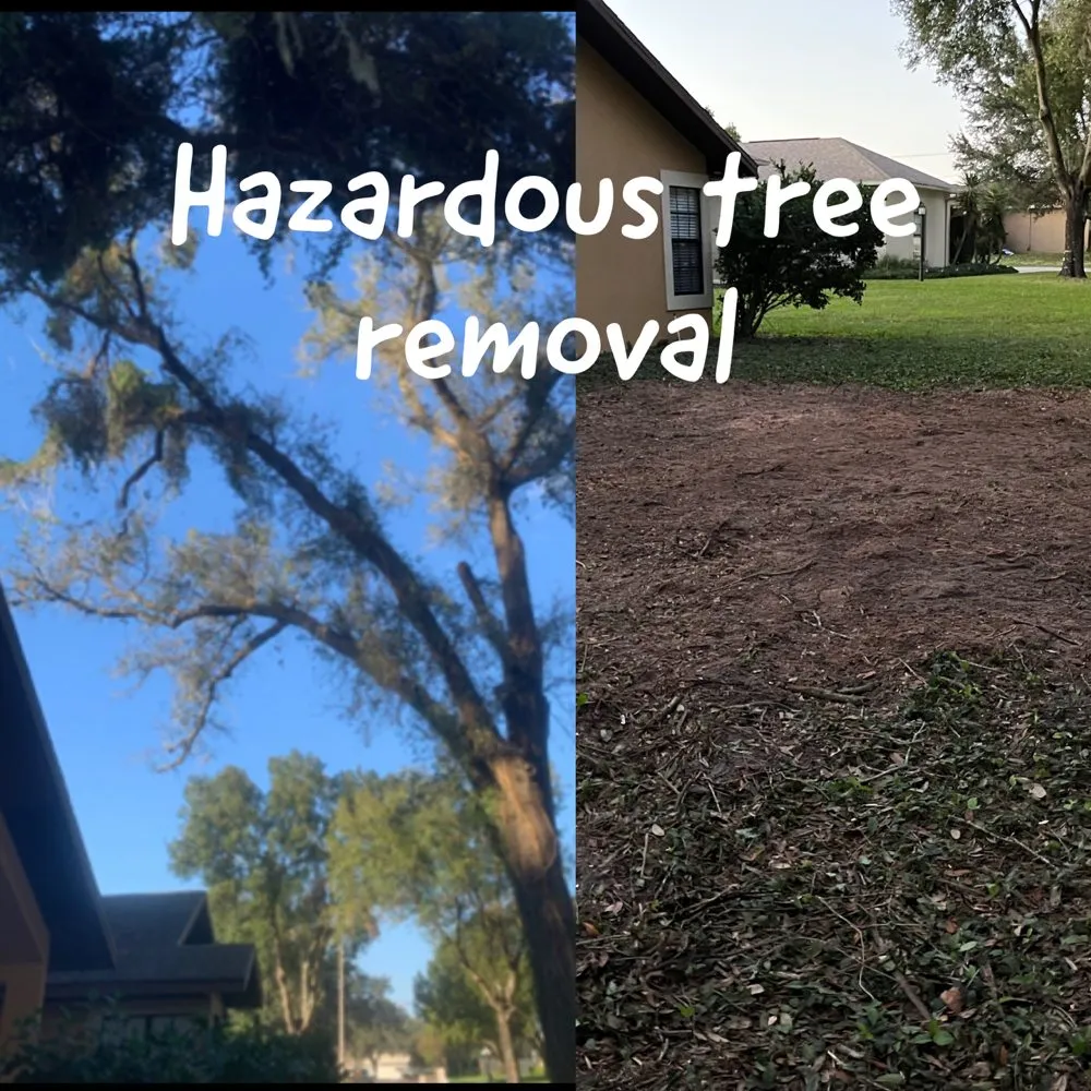 Expert landscape installation with custom design across Tampa, FL - Green Roots Landscaping