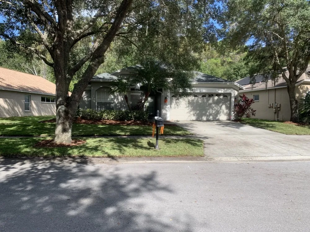 Custom yard cleanup service for outdoor upgrades in Tampa, FL by Green Roots Landscaping