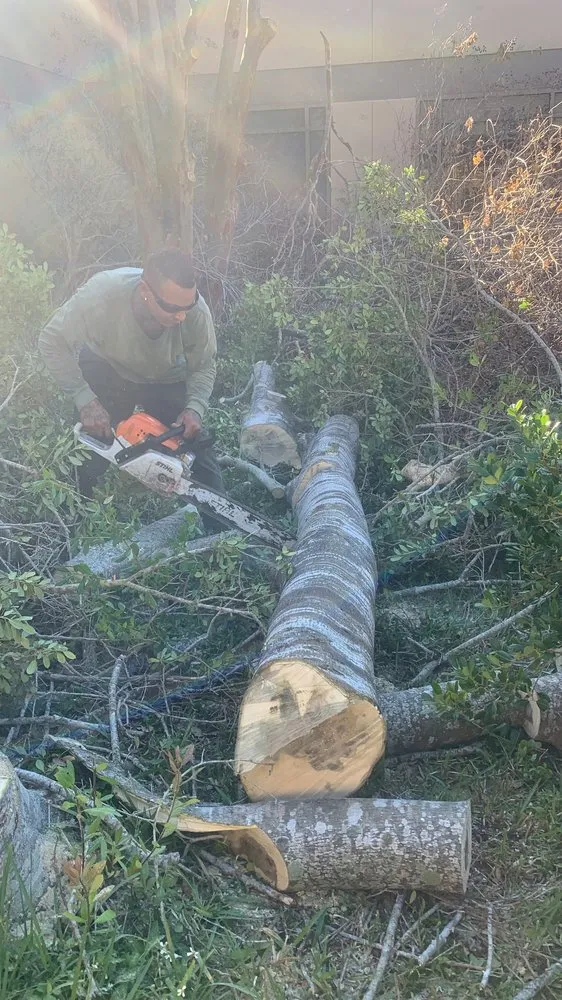 Trusted lawn care service in Tampa, FL - Green Roots Landscaping