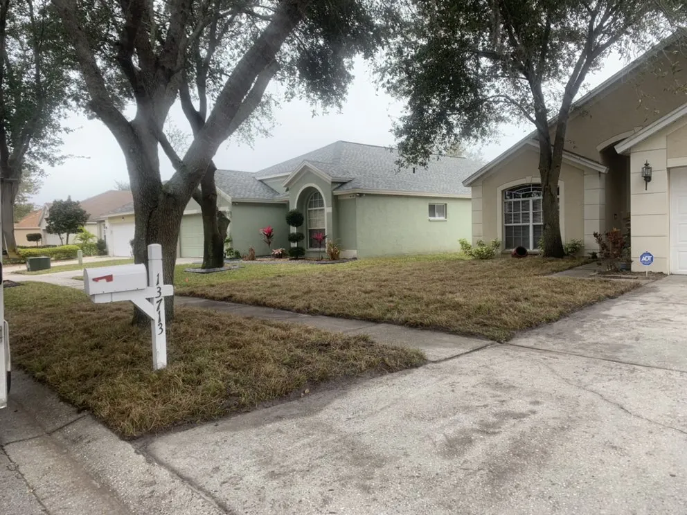 Expert landscape design in Tampa, FL - Green Roots Landscaping