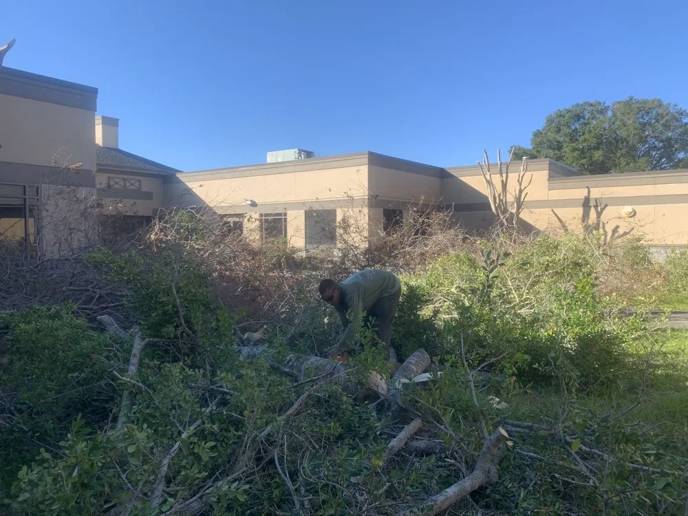 Reliable garden landscaping in Tampa, FL - Green Roots Landscaping