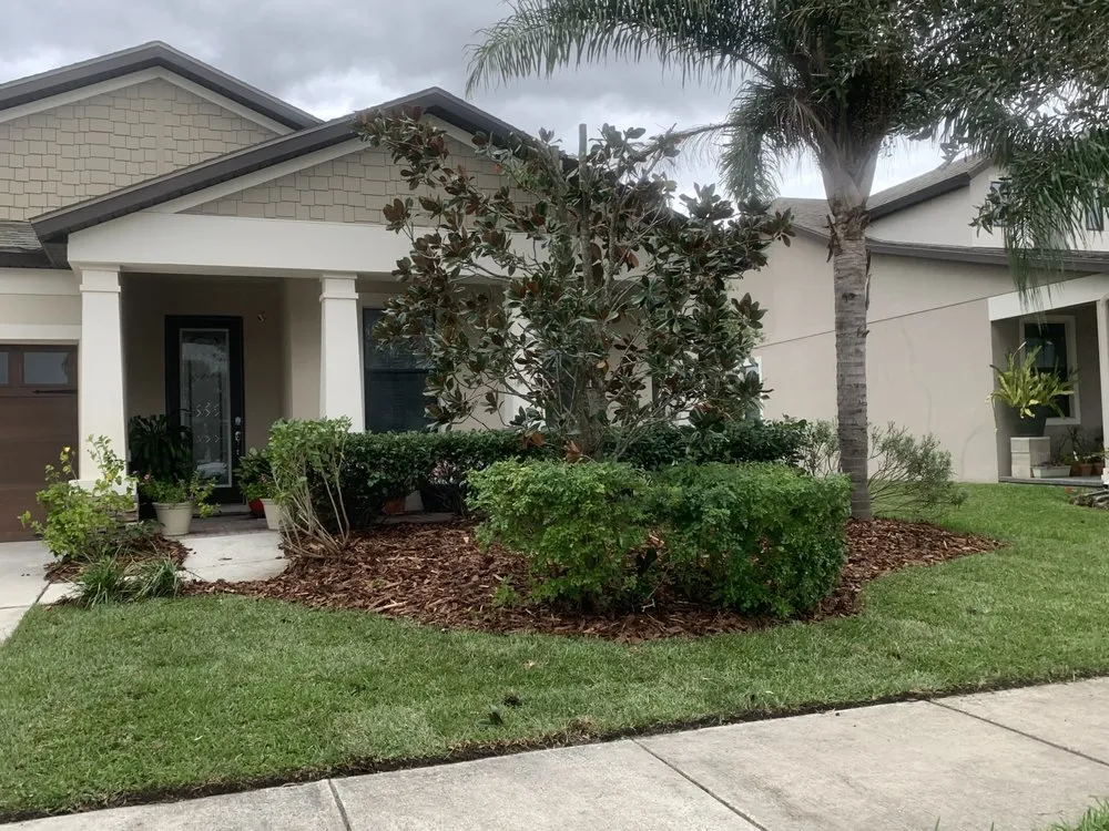 Reliable lawn care service with custom design in Tampa, FL by Green Roots Landscaping