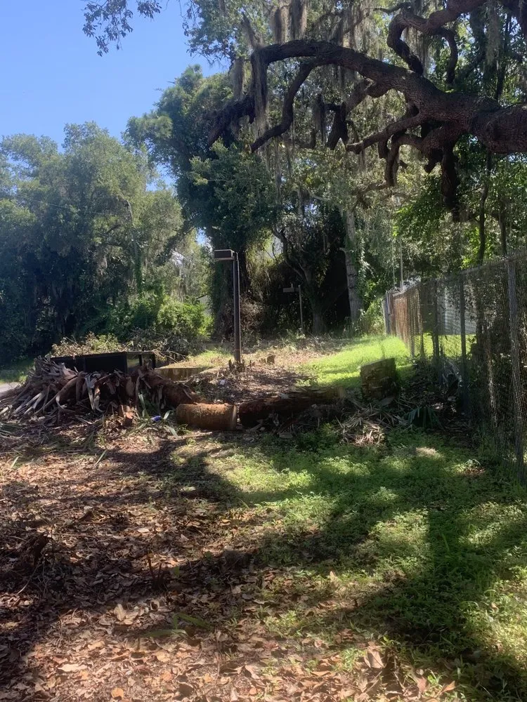 Expert yard maintenance in Tampa, FL - Green Roots Landscaping