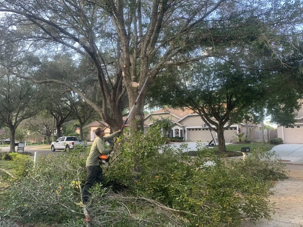 Trusted landscaping services experts serving Tampa, FL - Green Roots Landscaping