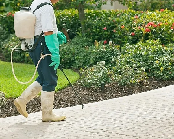 Local lawn care service in Durham, NC - Green Roots Lawn Care