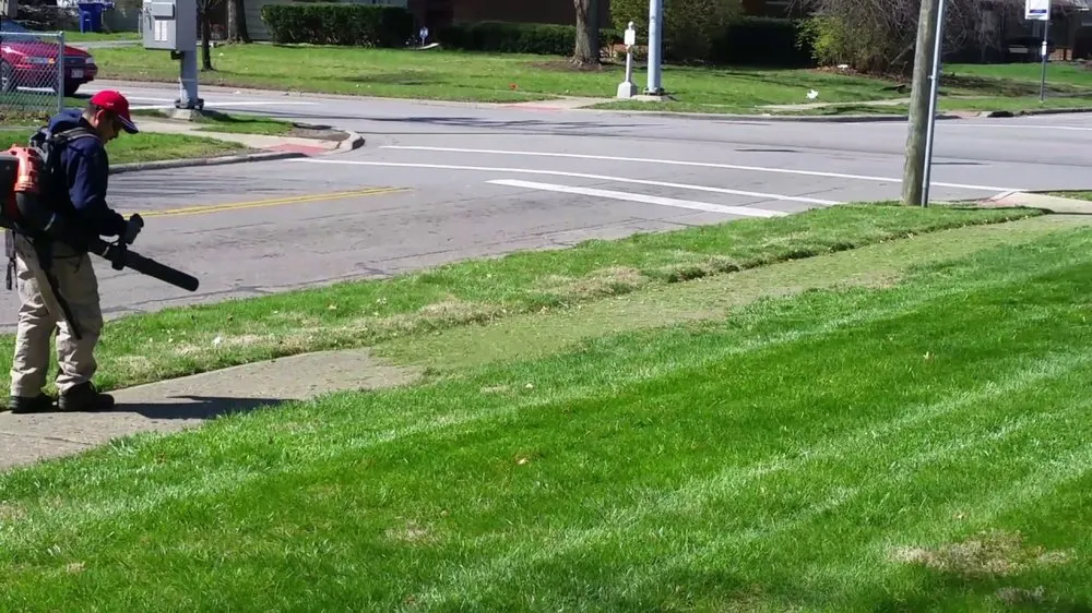 Expert lawn mowing service for year-round maintenance in Durham, NC by Green Roots Lawn Care