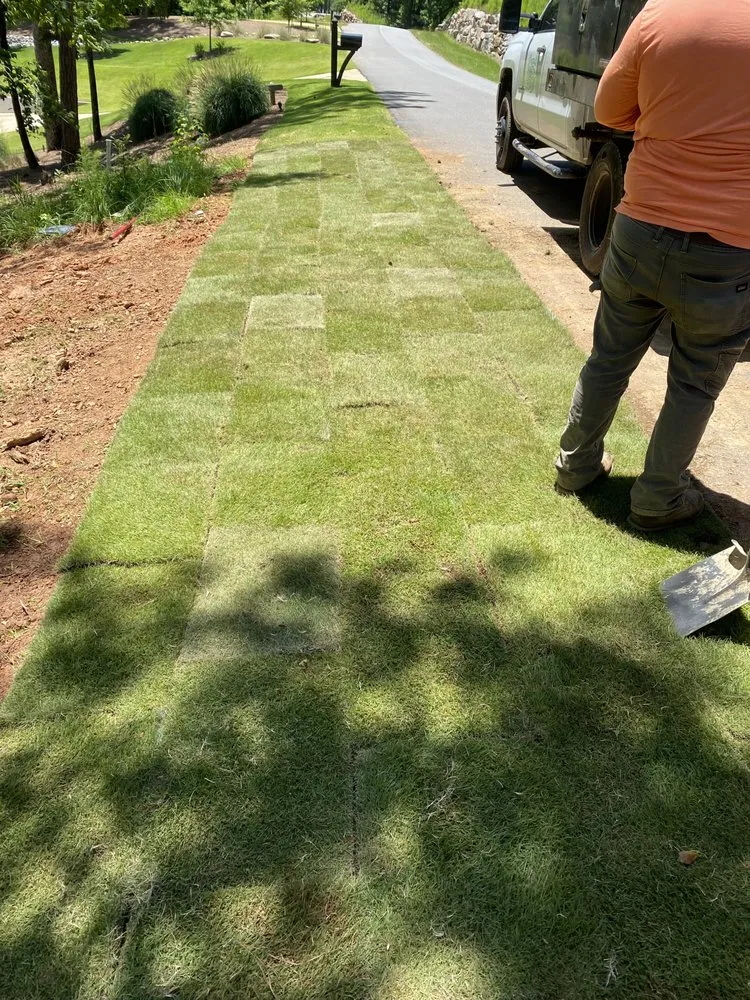 Top-rated yard maintenance for residential properties in Pelham, AL by Green Roots Services