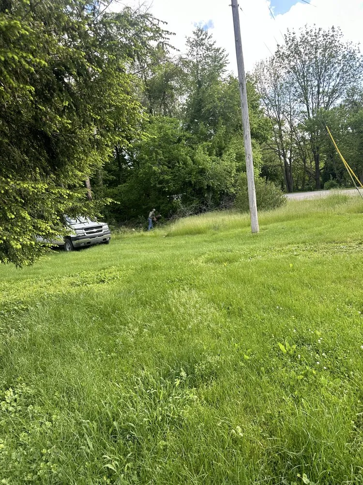 Affordable lawn care service in Springville, IN by Green Roots