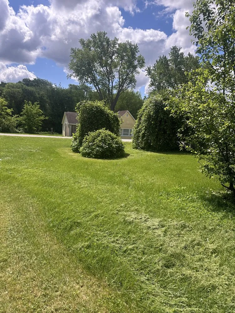 Expert outdoor landscaping for homes across Springville, IN - Green Roots