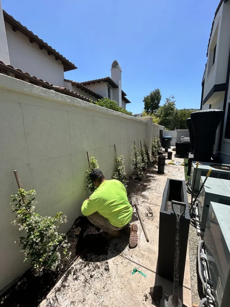 Local landscape design for year-round maintenance across Los Angeles, CA - Green Rootz
