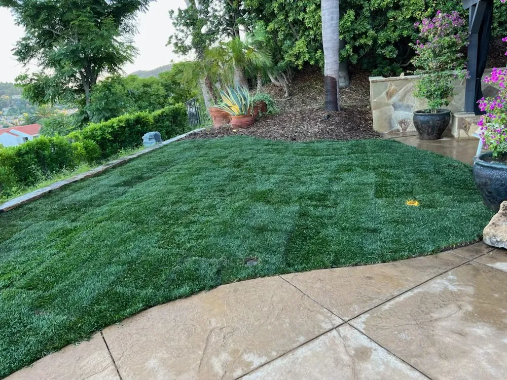 Affordable landscaping services in Los Angeles, CA - Green Rootz