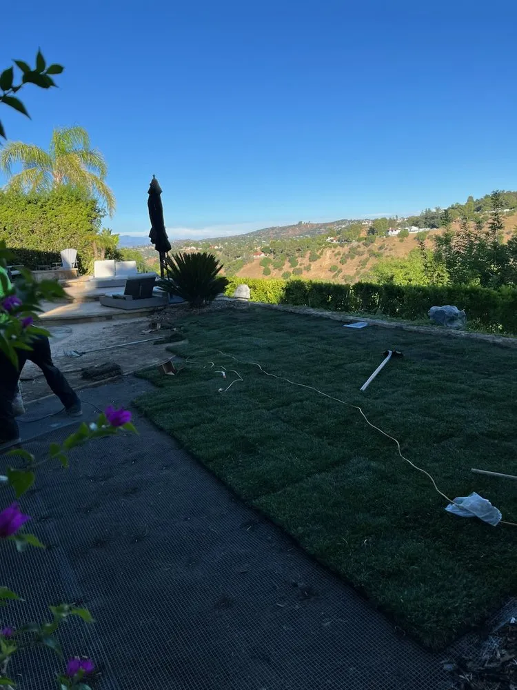 Expert landscape design for beautiful yards across Los Angeles, CA - Green Rootz