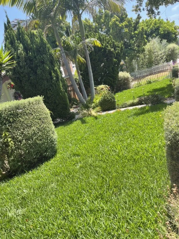 Professional yard maintenance experts serving Los Angeles, CA - Green Rootz