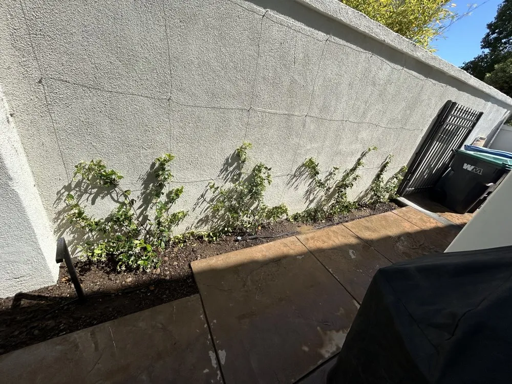 Expert residential landscaping in Los Angeles, CA - Green Rootz