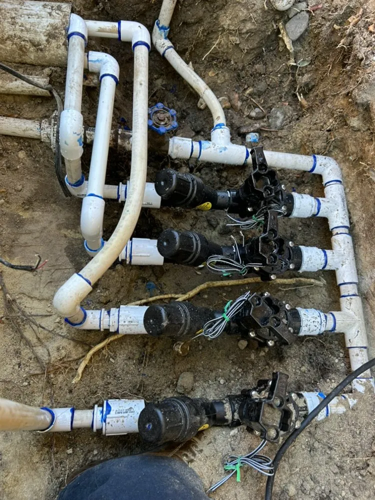 Professional residential landscaping for homes in Los Angeles, CA by Green Rootz