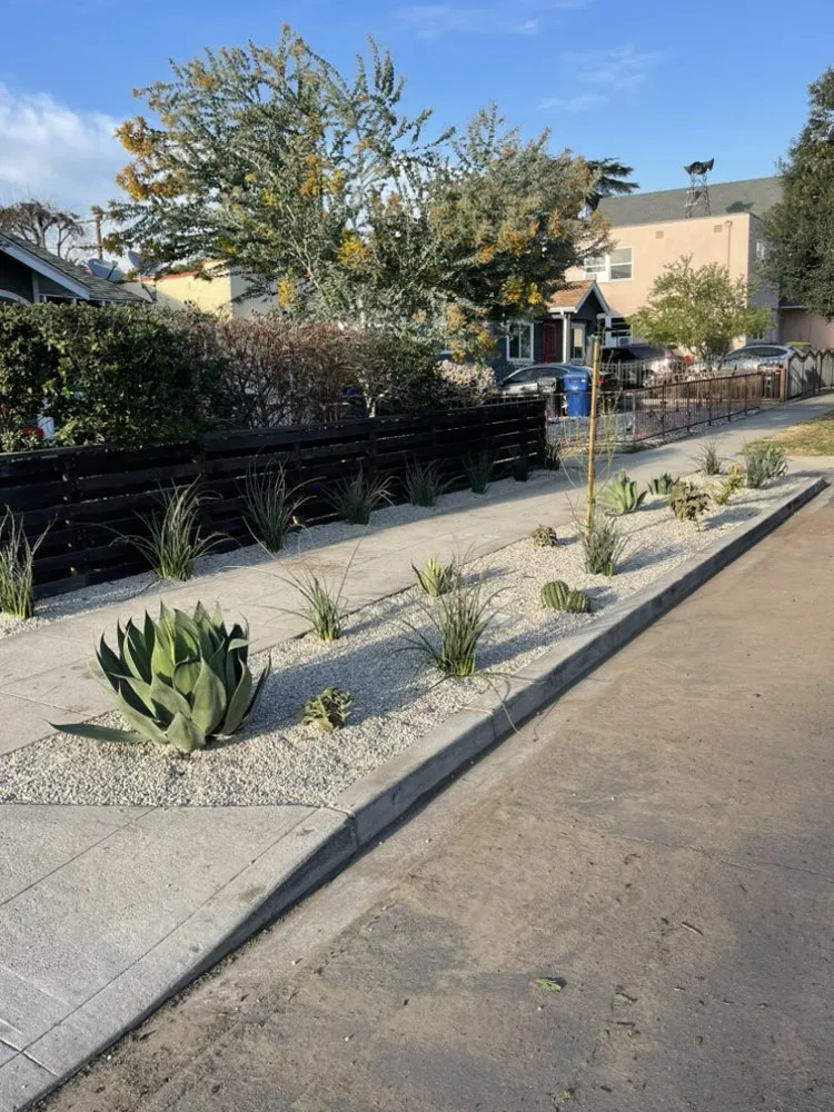 Professional landscaping services in Los Angeles, CA by Green Rootz