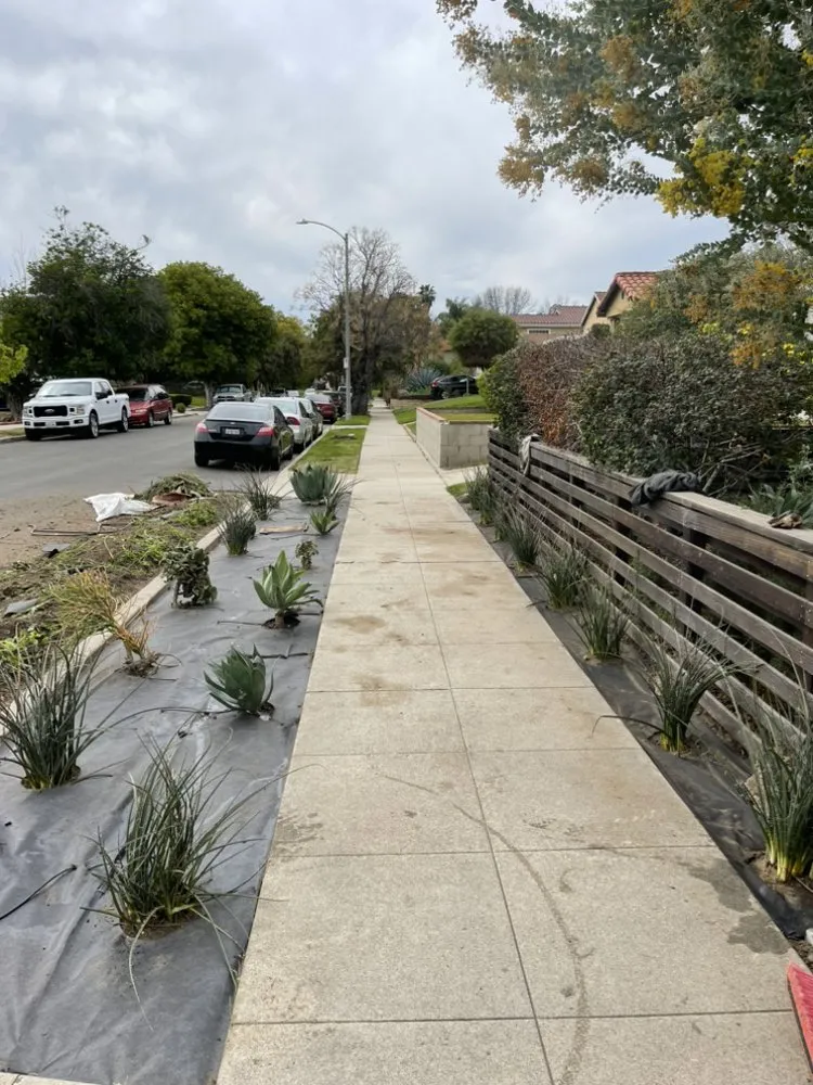 Top-rated landscape installation experts serving Los Angeles, CA - Green Rootz