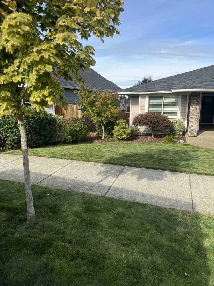 Trusted lawn care service in Brooks, OR by Green Route